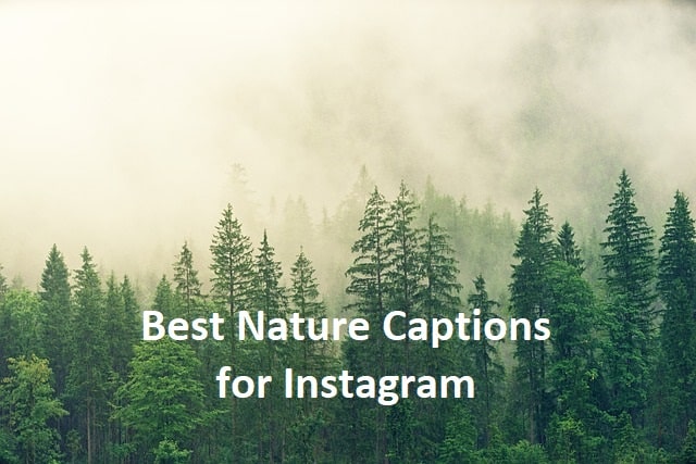 Best Nature Captions for Instagram