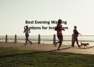 Evening Walk Captions