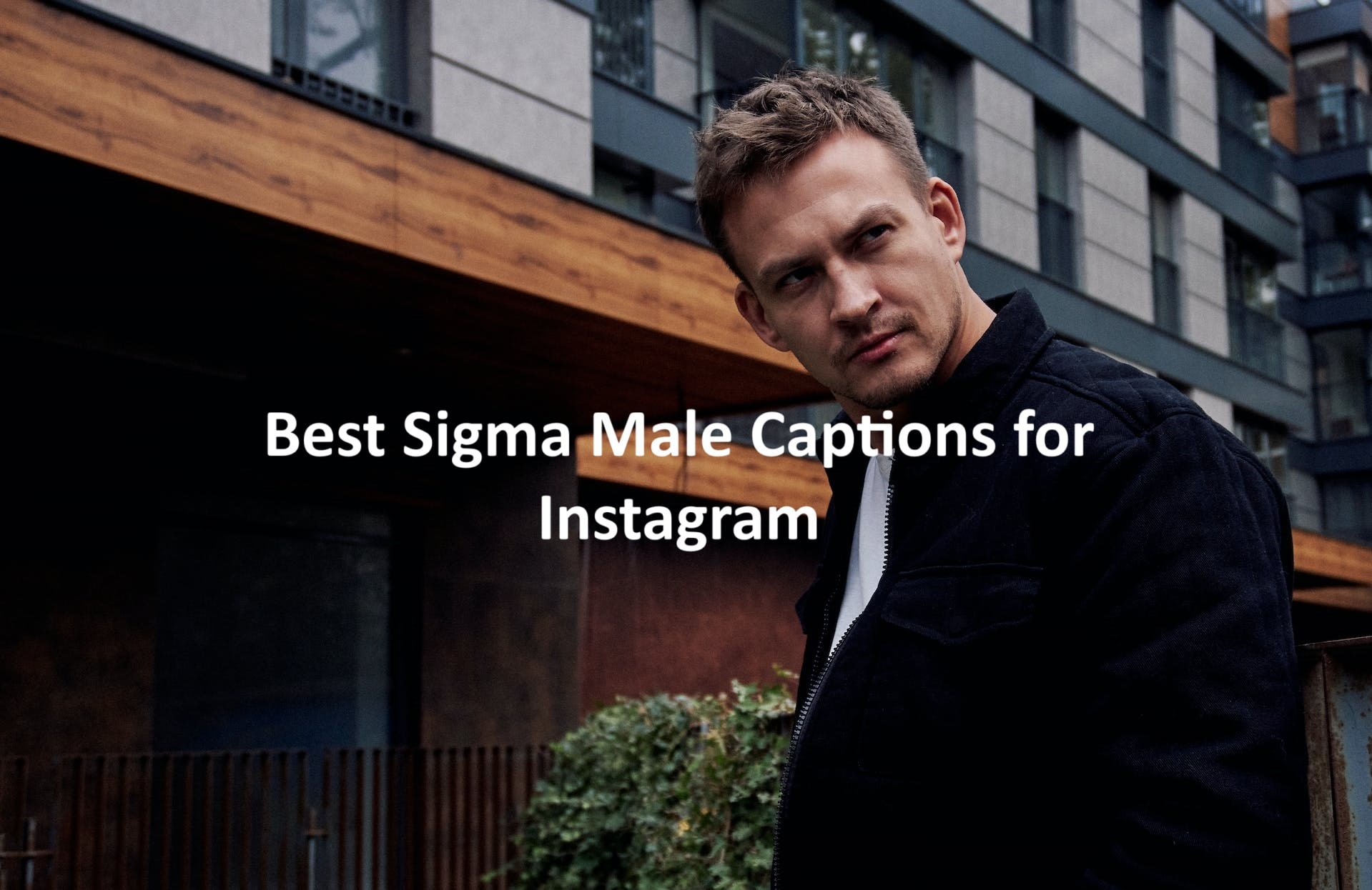 Sigma Male Captions for Instagram