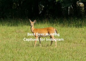 Deer Hunting Captions for Instagram