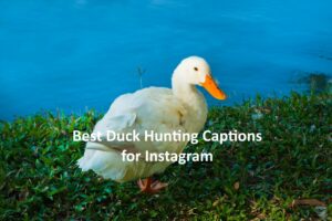 Duck Captions for Instagram