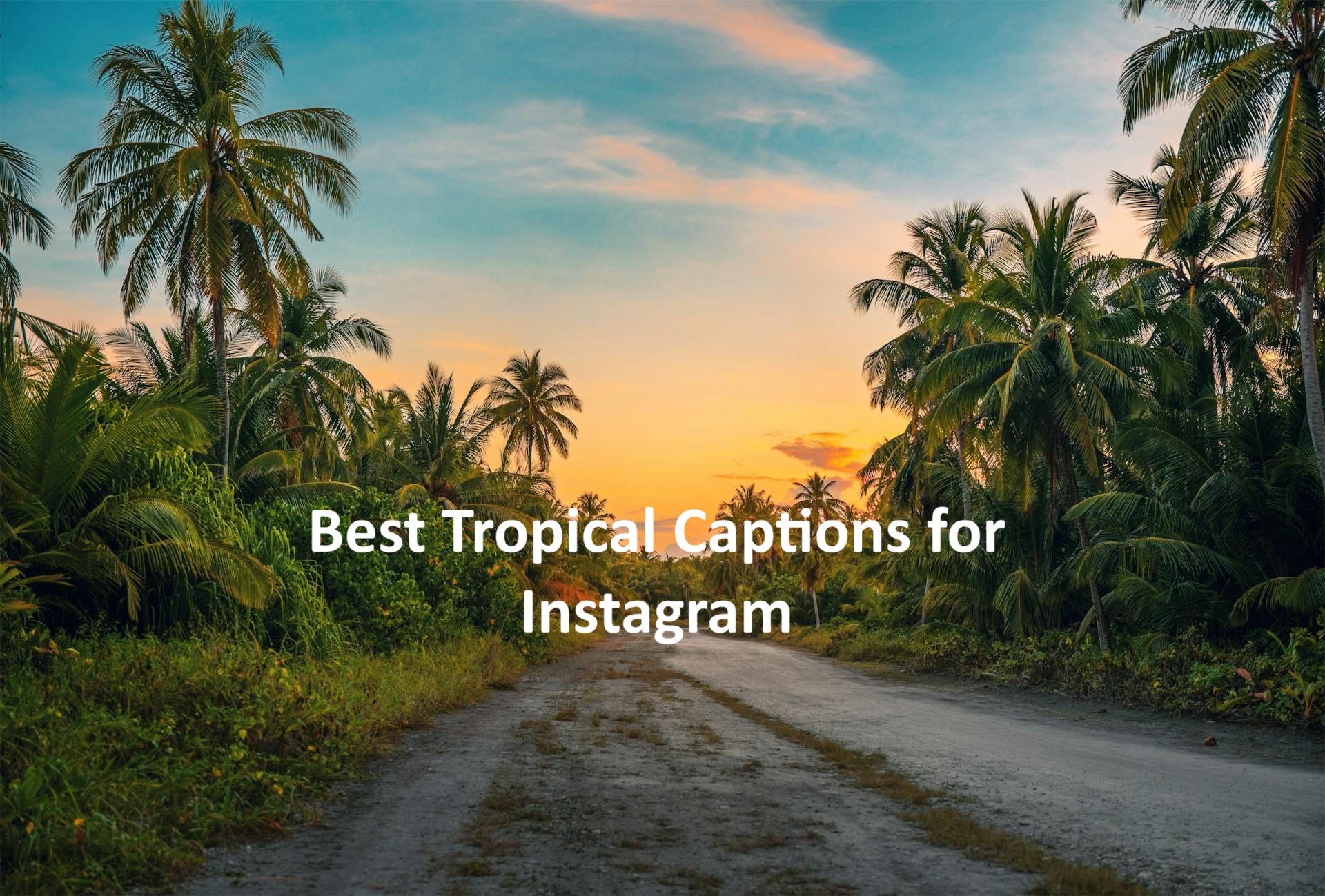Tropical Captions for Instagram