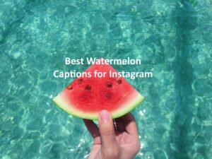 Watermelon Captions for Instagram