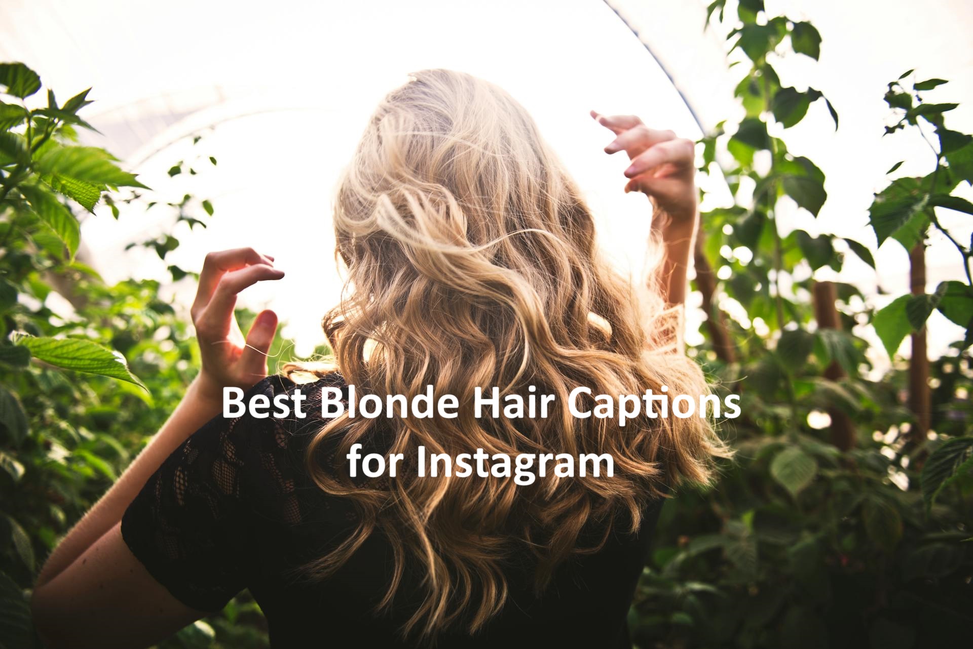 Blonde Hair Captions for Instagram