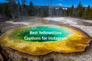Yellowstone Captions for Instagram